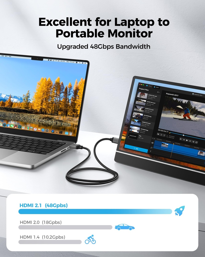 Mini HDMI to HDMI Cable 